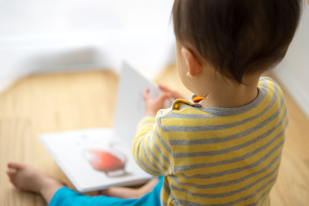 だるまさん　〜窓際で読書〜