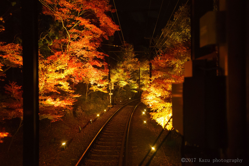 せやっ！秋の京都に行こう ② 叡山電鉄 紅葉ライトアップ列車編