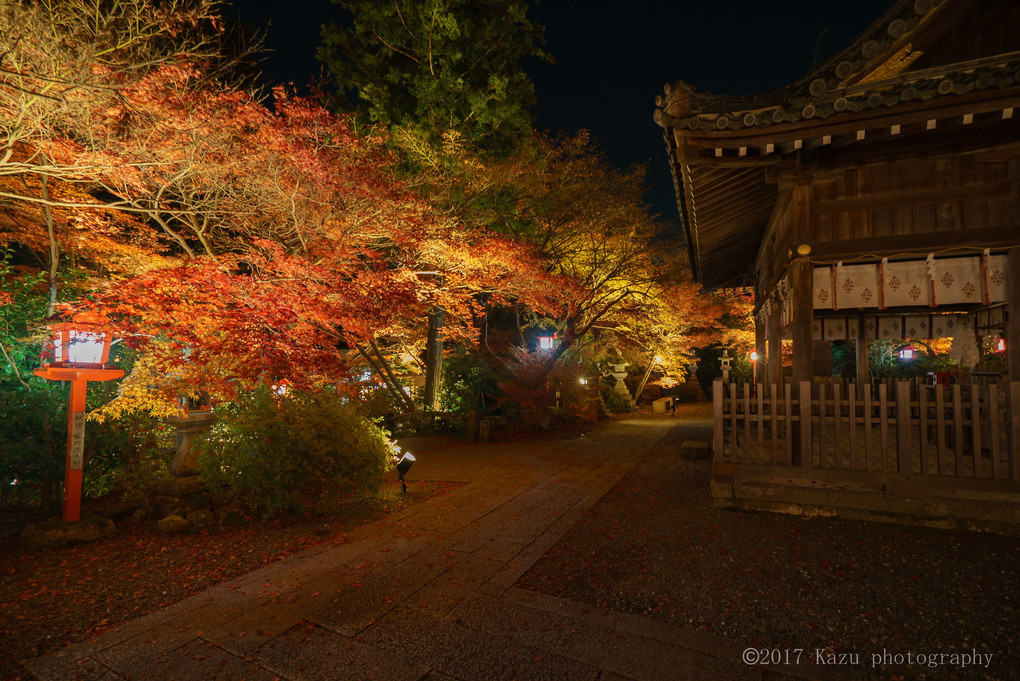 せやっ！秋の京都に行こう ④ 鍬山神社紅葉のライトアップ編