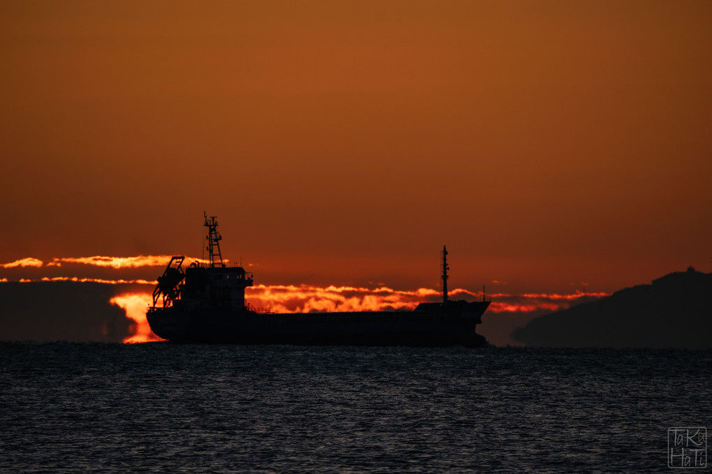 朝陽と船