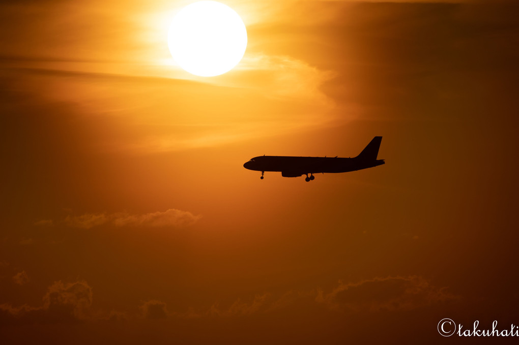 夕陽×飛行機×ブラスト