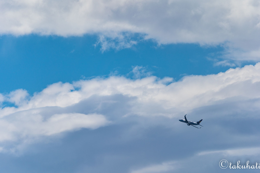 夏空と飛行機