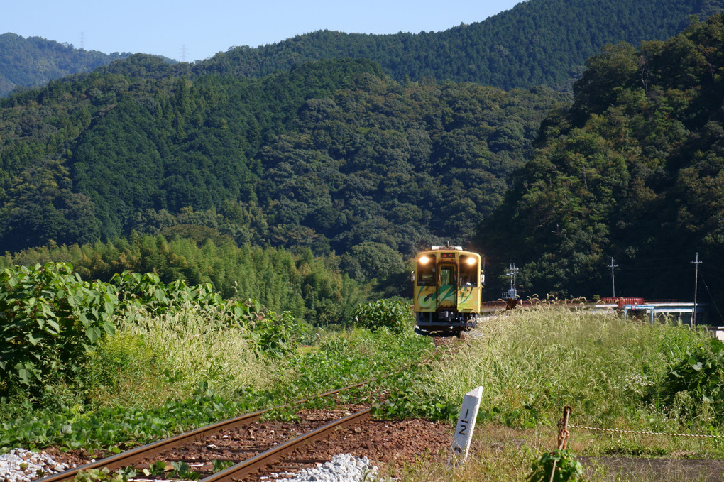 錦川鉄道（20170930-1）