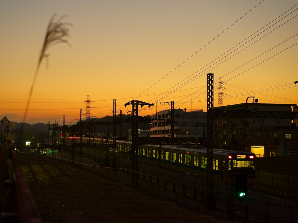 ここからみる夕焼けが好き。