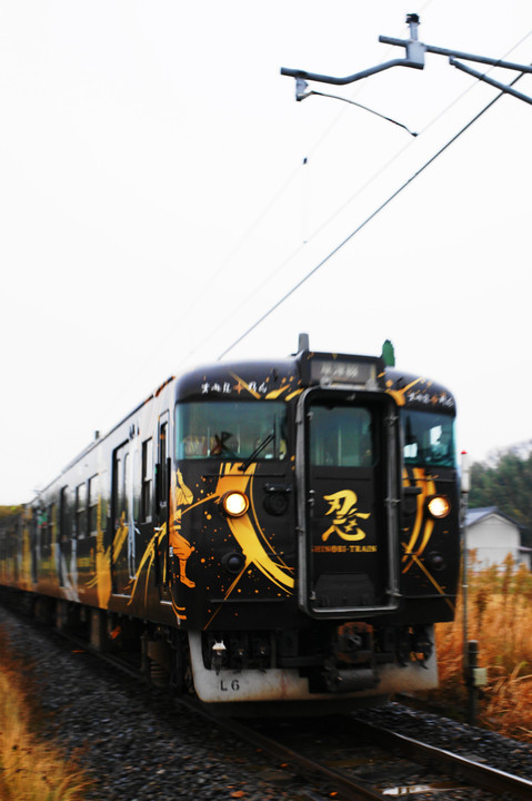 SHINOBI TRAIN