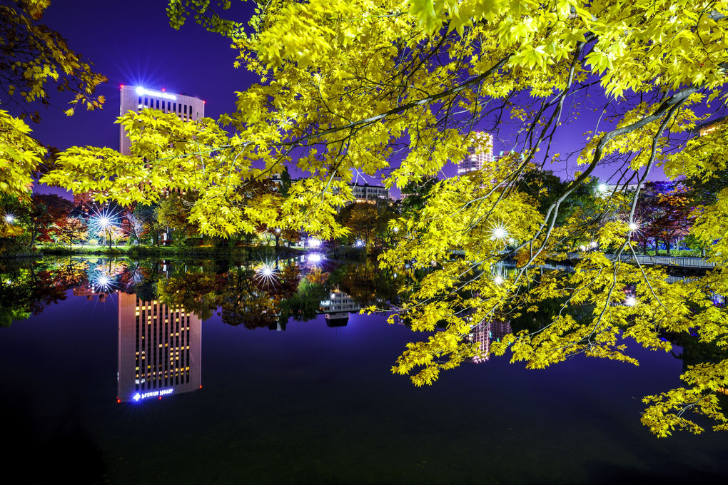 札幌夜景 ～夜感紅葉編～