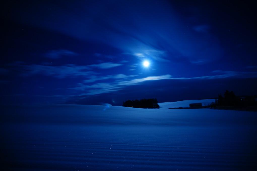 Winter of the moonlight
