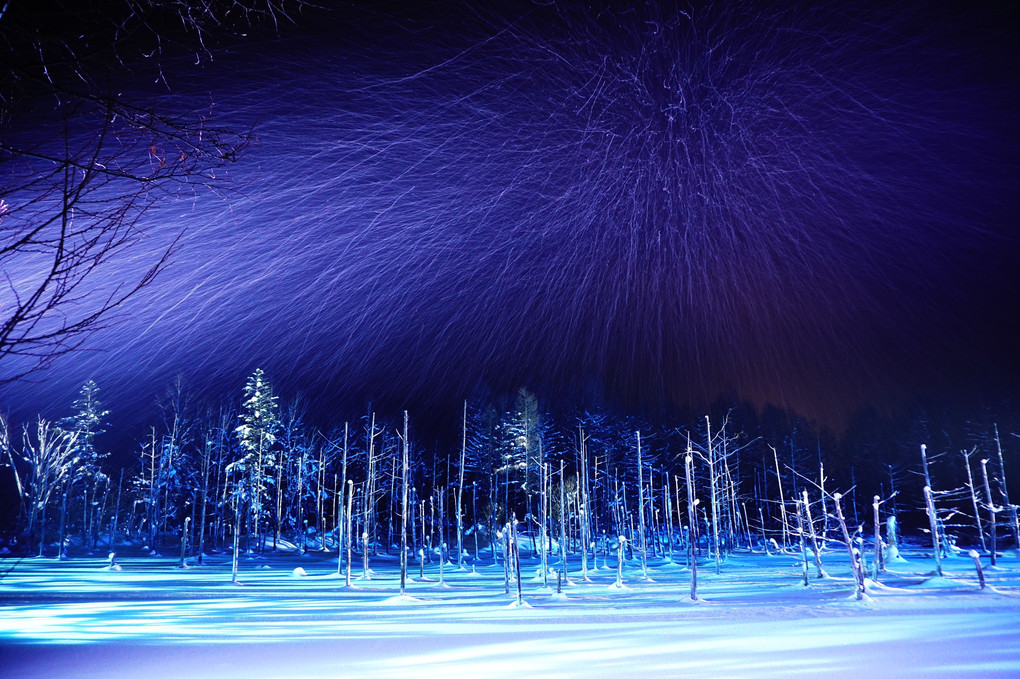Winter night blue pond