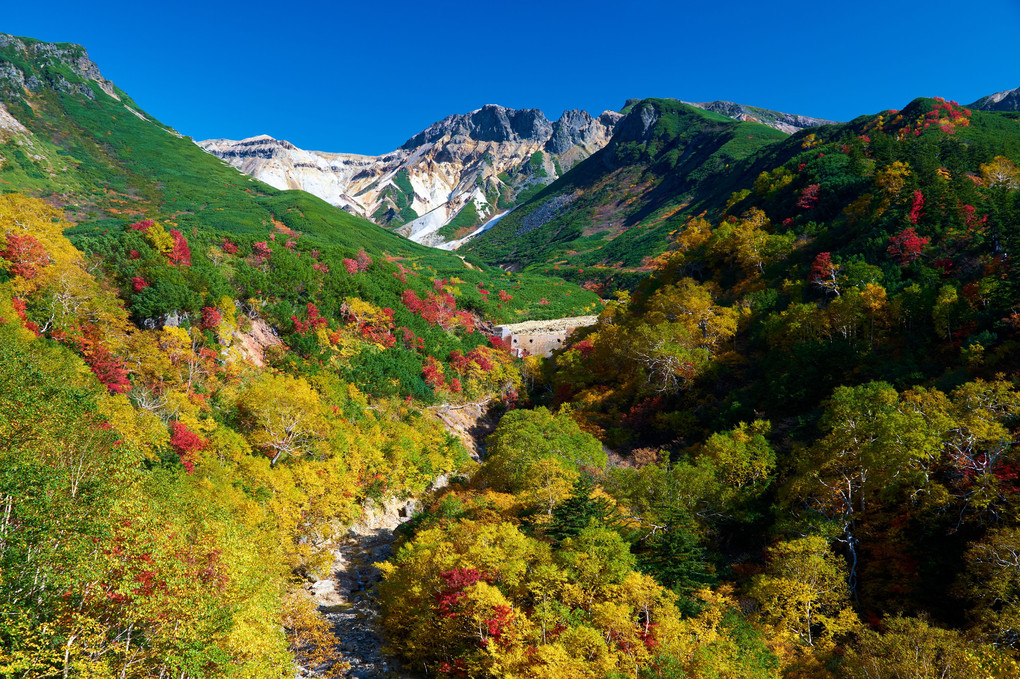 秋晴れの十勝岳連峰