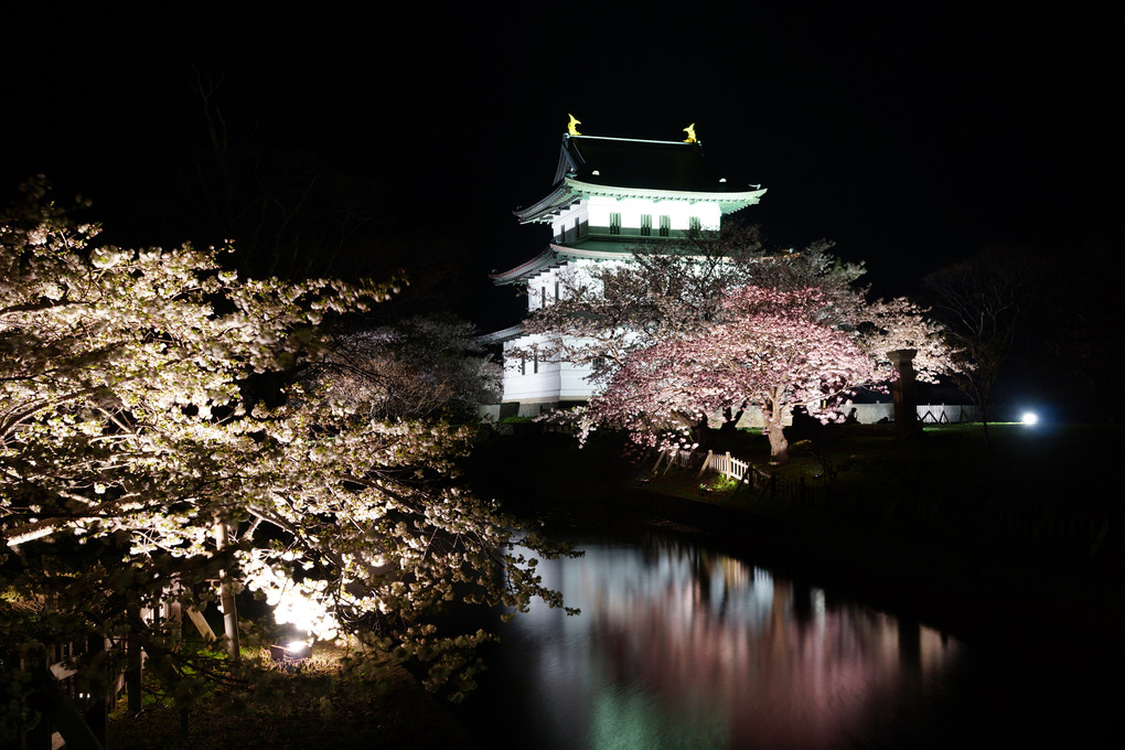 北海道の短い春～松前公園の夜桜～