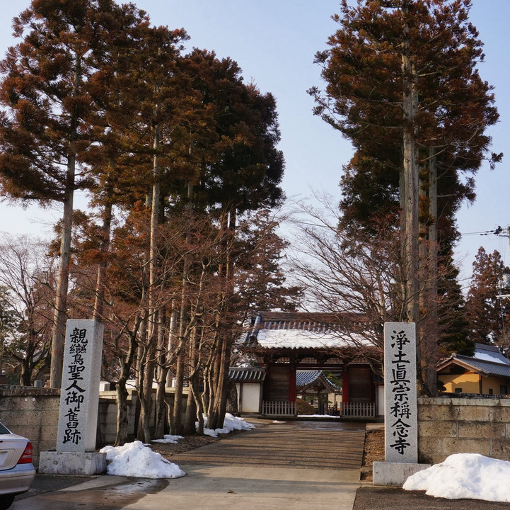 仙台お散歩　その3　～稱念寺・八雲神社～