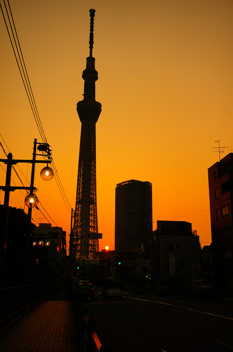 SKY TREE 百景～亀戸３丁目の夕日