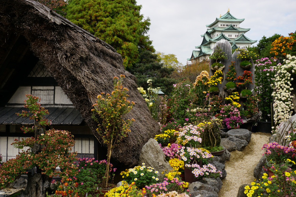 秋の名古屋城