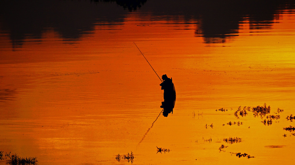 早朝の釣り人