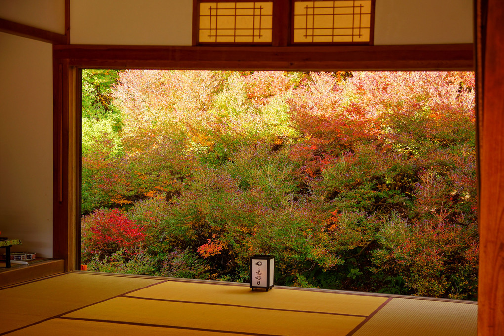 もうひとつの「安国寺」