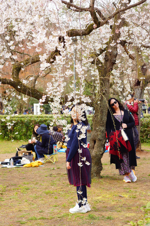 京都御苑での笑顔と緊張感