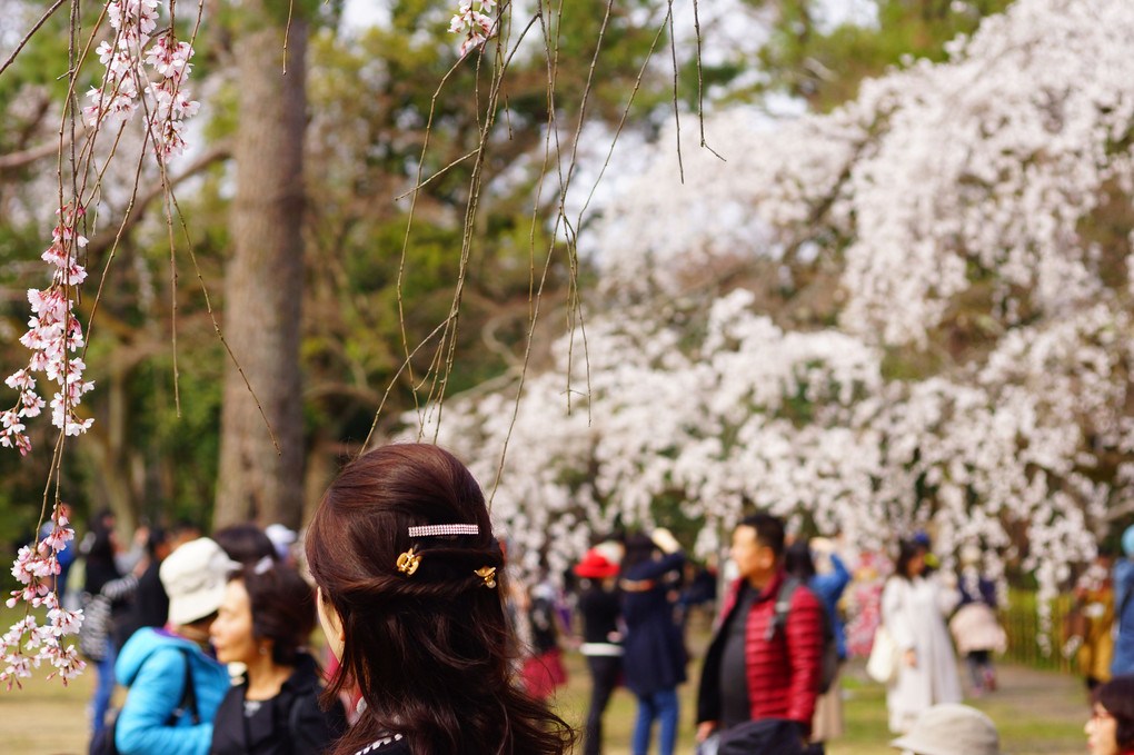京都御苑での笑顔と緊張感