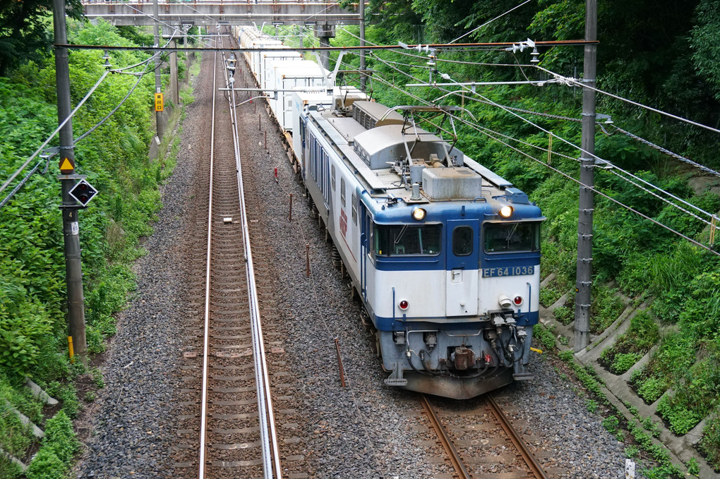 武蔵野線を行くEF64貨物列車