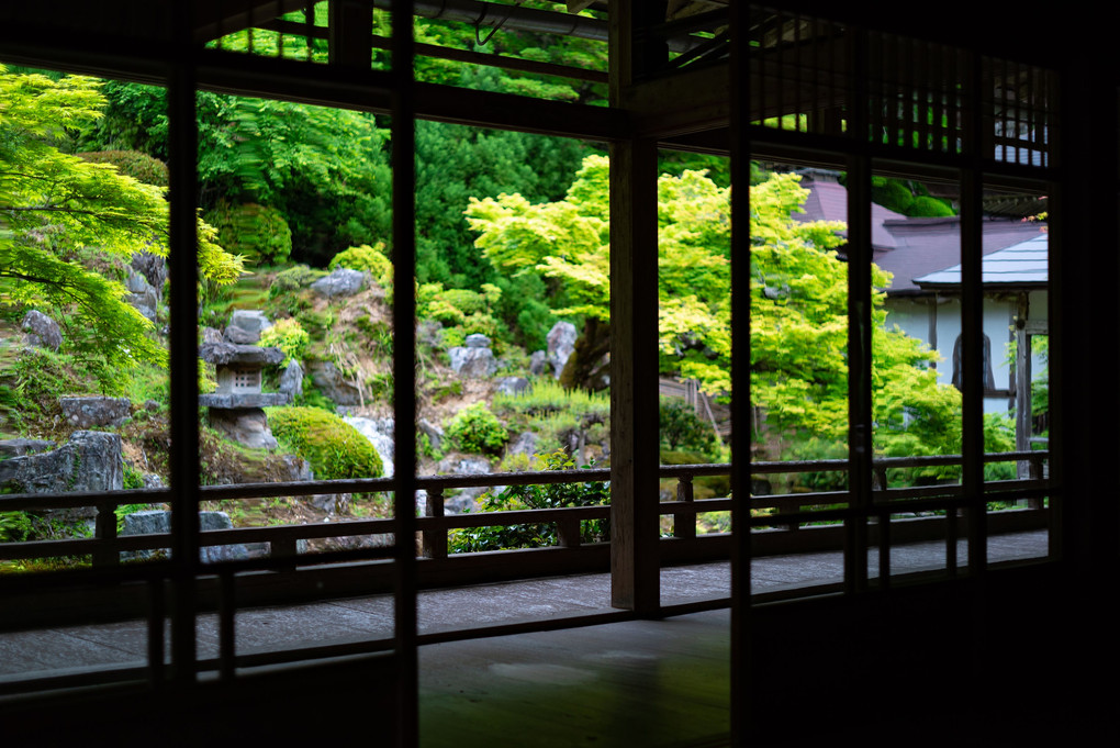 新緑の京都へ