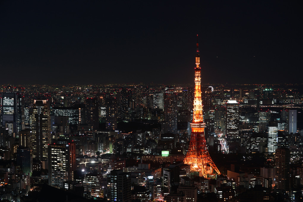 东京タワーの夜