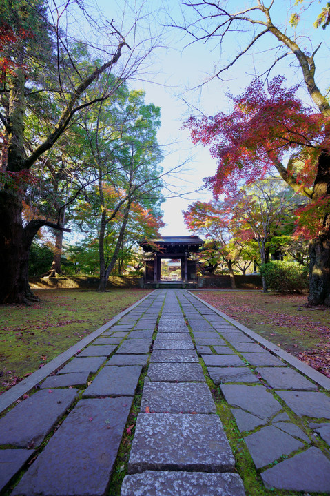 朝、東漸寺にて