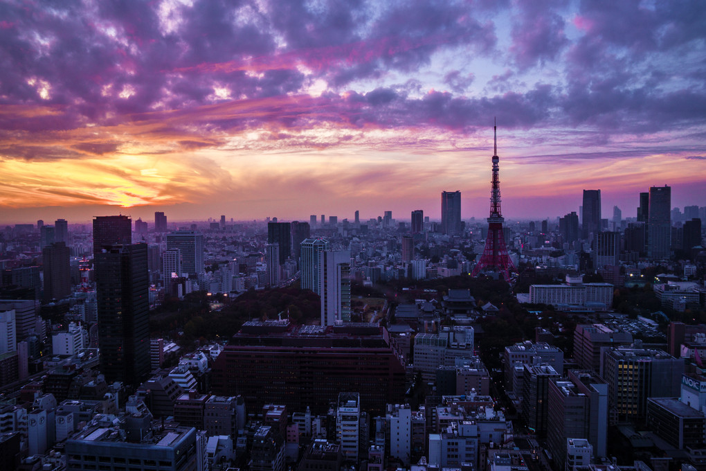 東京カラフル夜景 