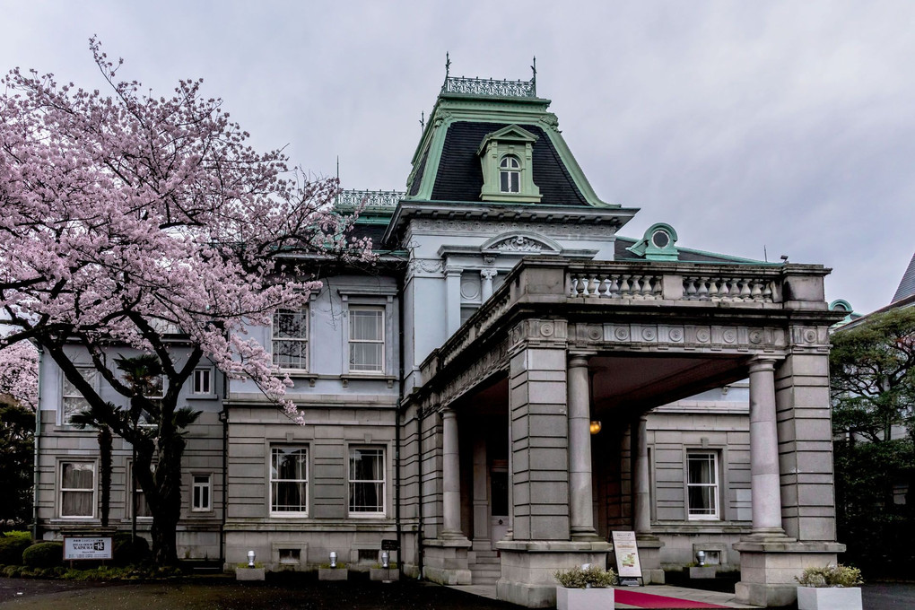 貴賓館と桜