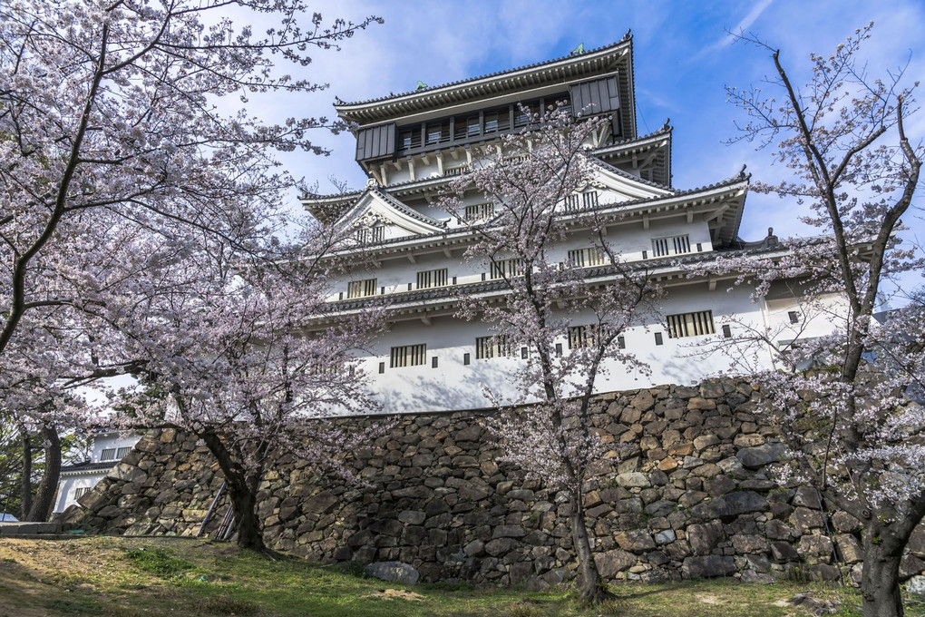 城跡を攻める♪～小倉城跡編～