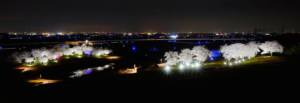 夜を彩る