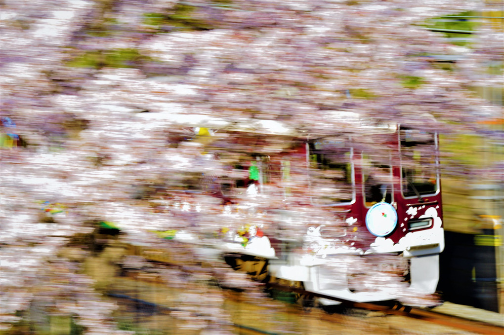 桜とマルーンの流し撮り #阪急電鉄#