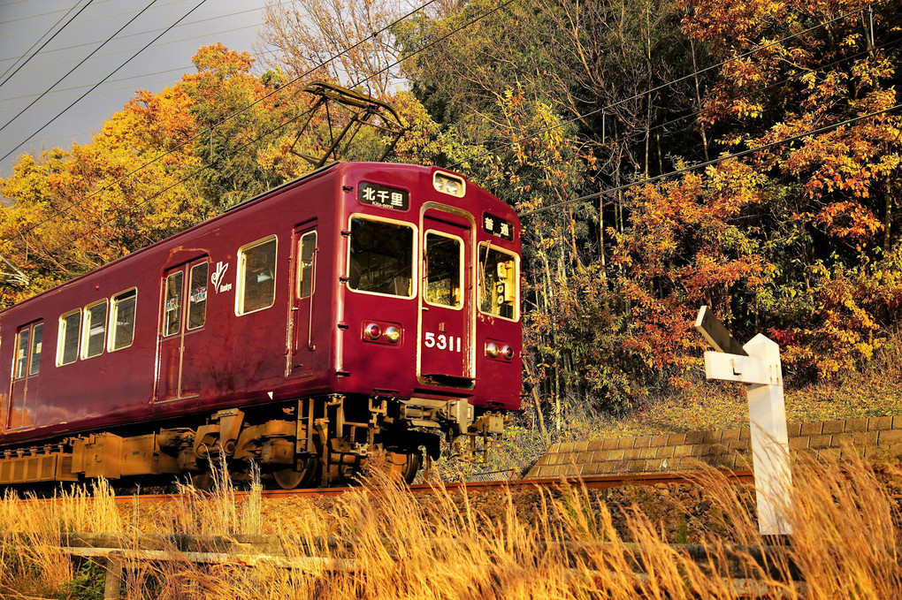 夕焼けマルーン　#阪急電車#