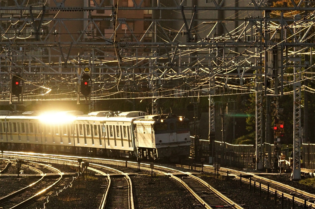 １７０００系甲種がギラリ