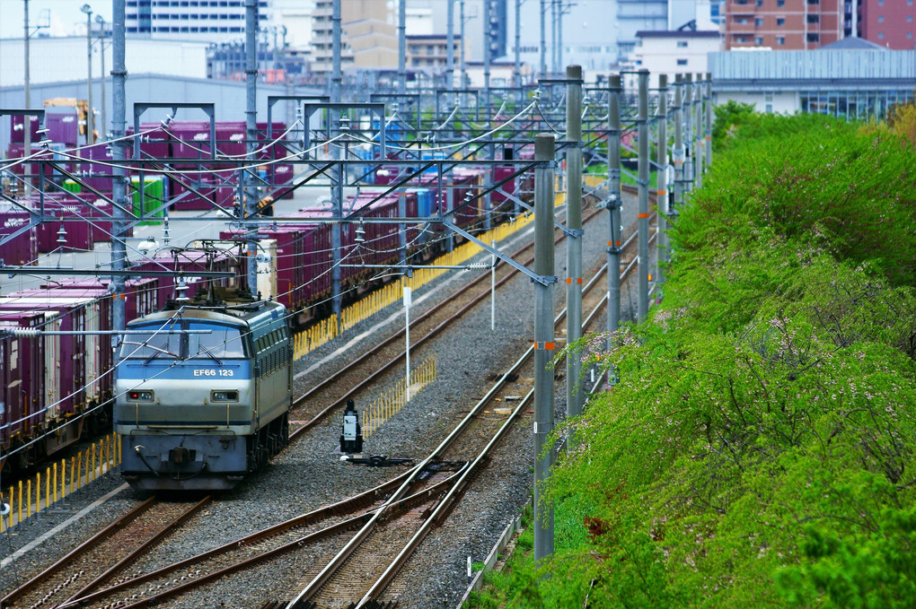 ＤＤ２００の甲種と配給