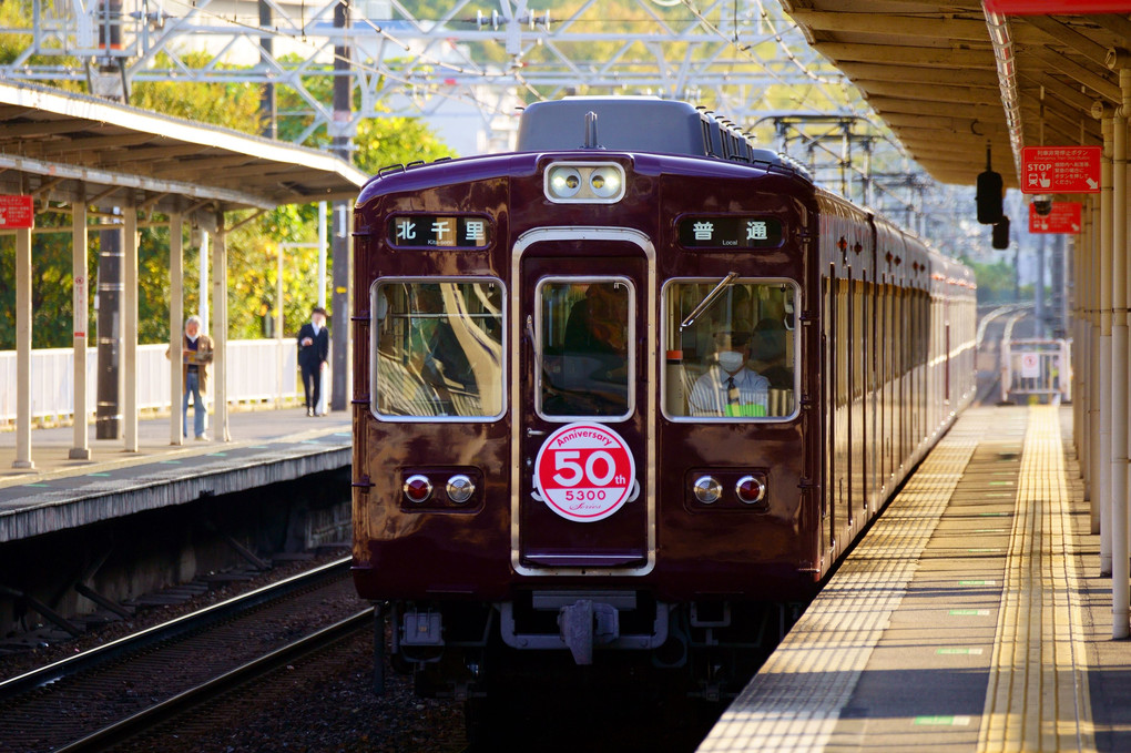 ５３００Series ５０th Anniversary