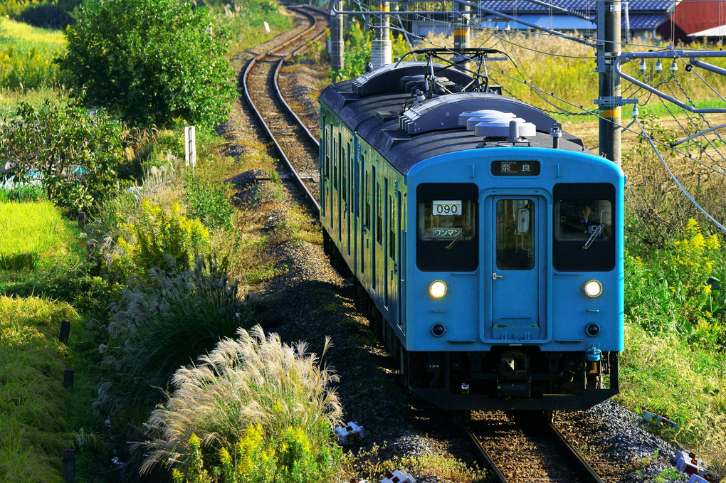 大和路の１０５系