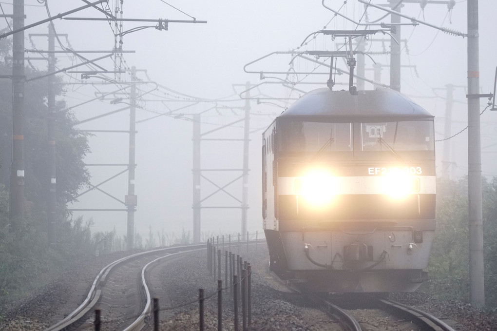 濃霧の中の押し太郎３０３号機