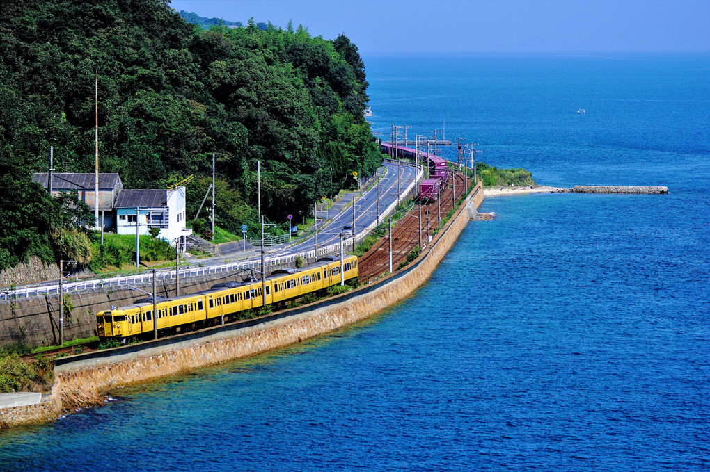 青い海と黄色い電車