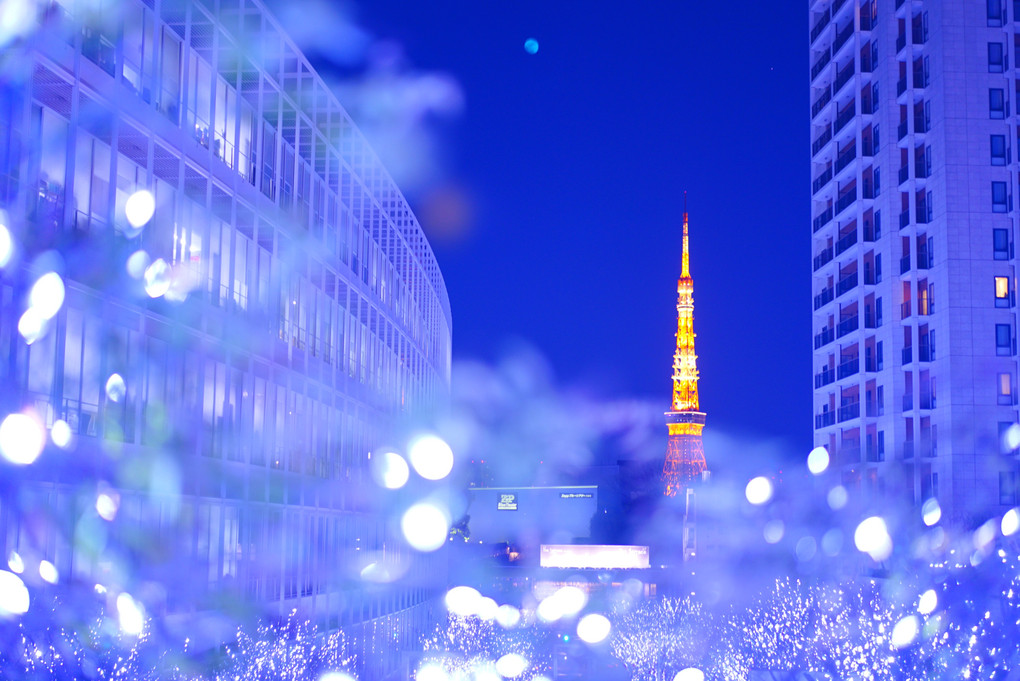 煌めき東京タワー