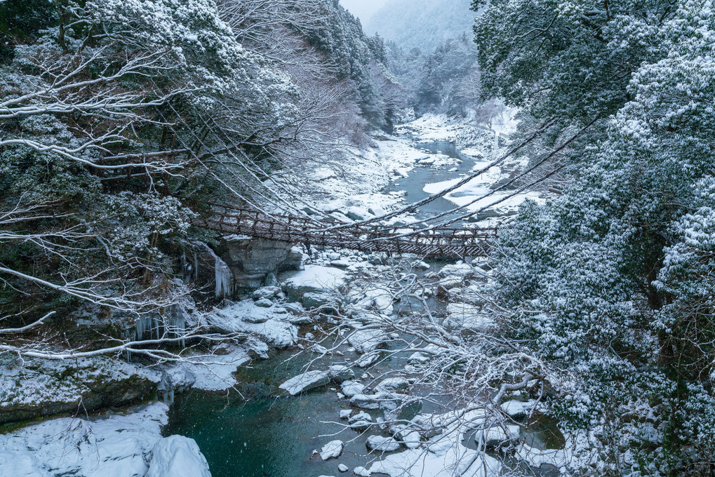 雪の祖谷のかずら橋
