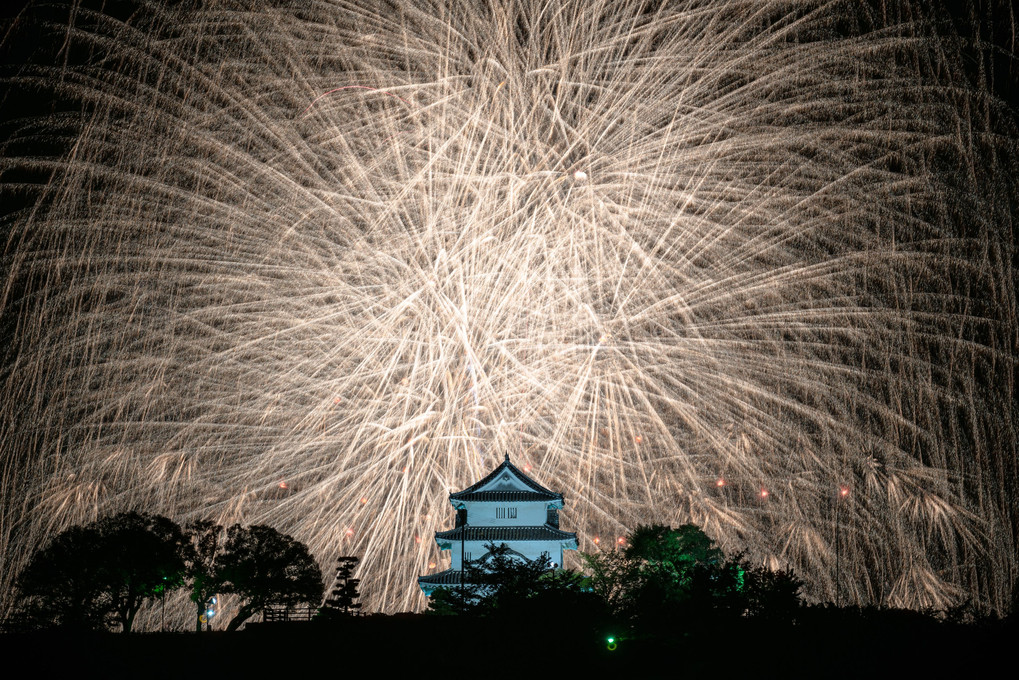 丸亀城に咲く花火