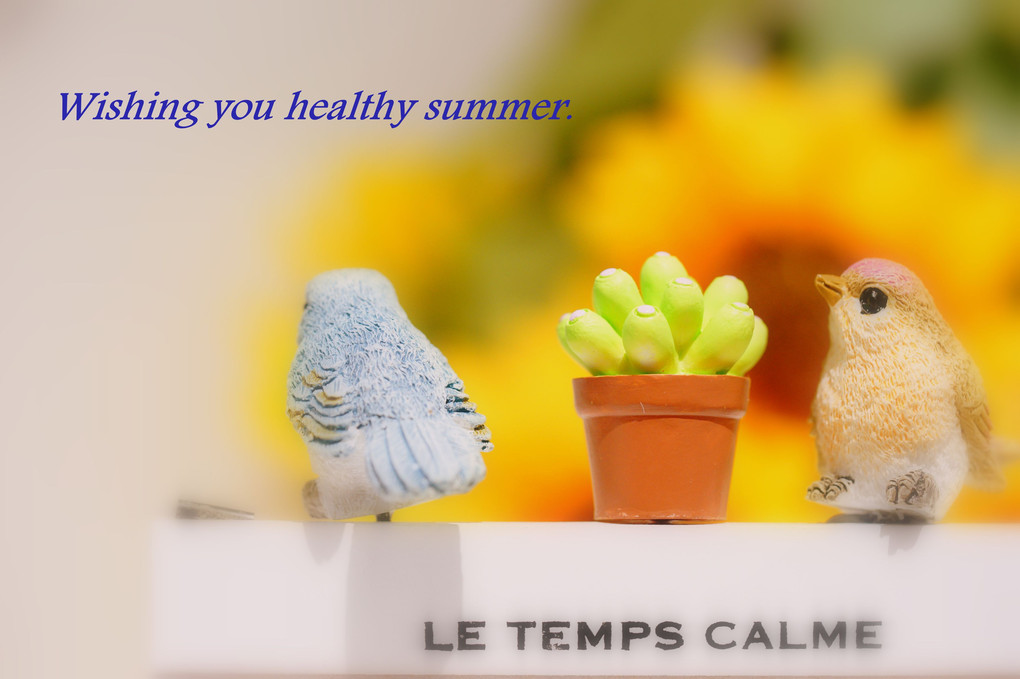 Summer greetings to you.