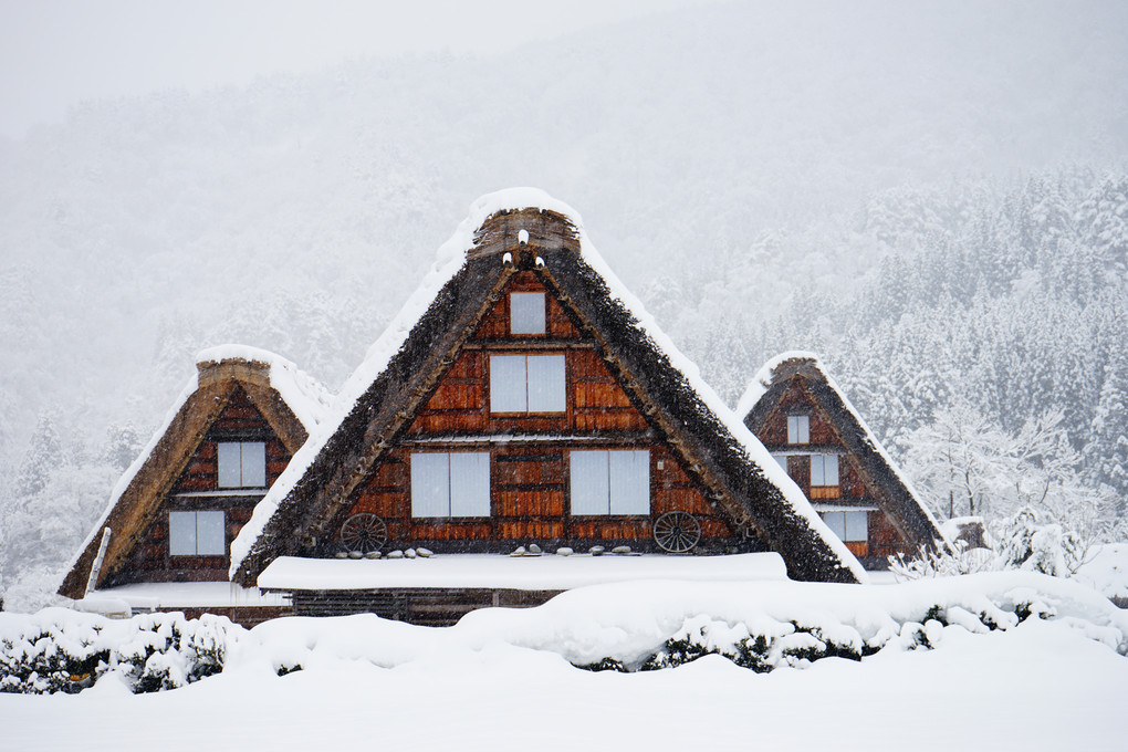 豪雪白川ゴゥ！！