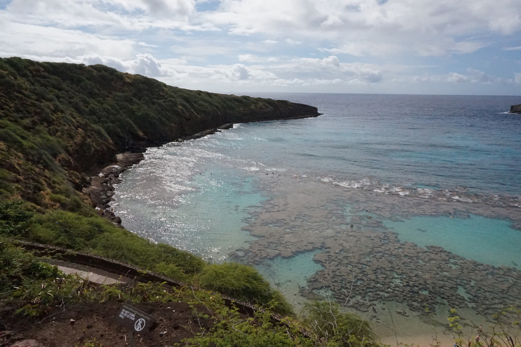 Hanauma Bay From the top of the observator