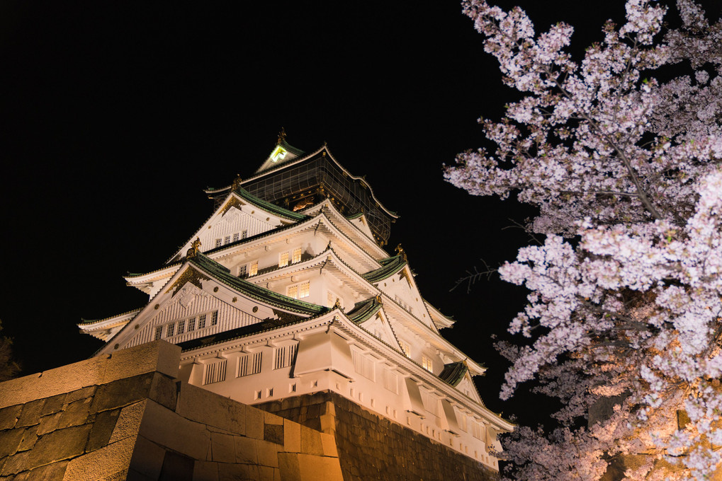 大阪城と夜桜