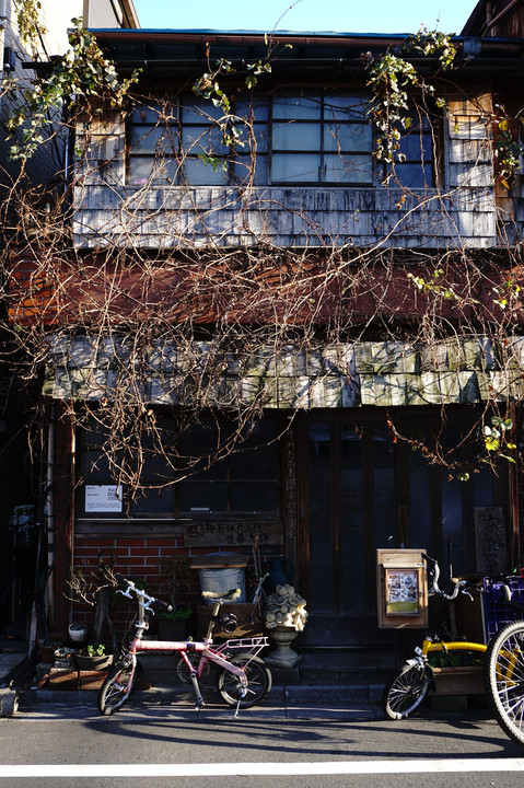 『 東京下町・スカイツリーの見える街 』