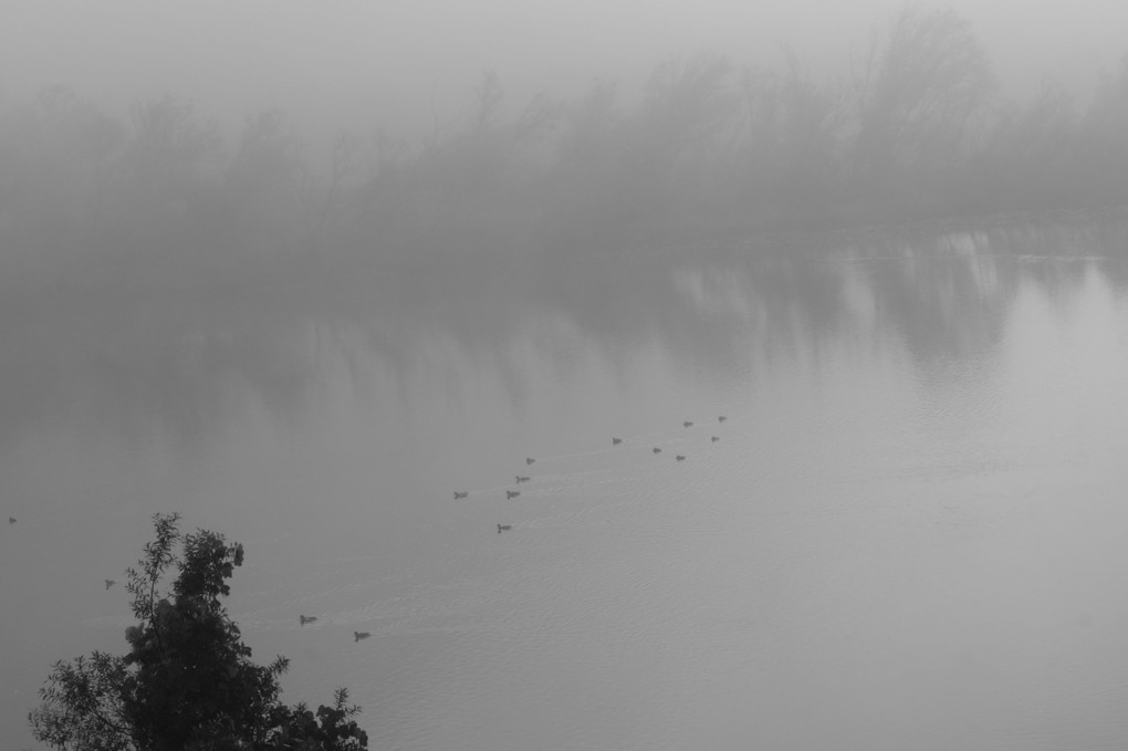 濃霧の川を行く