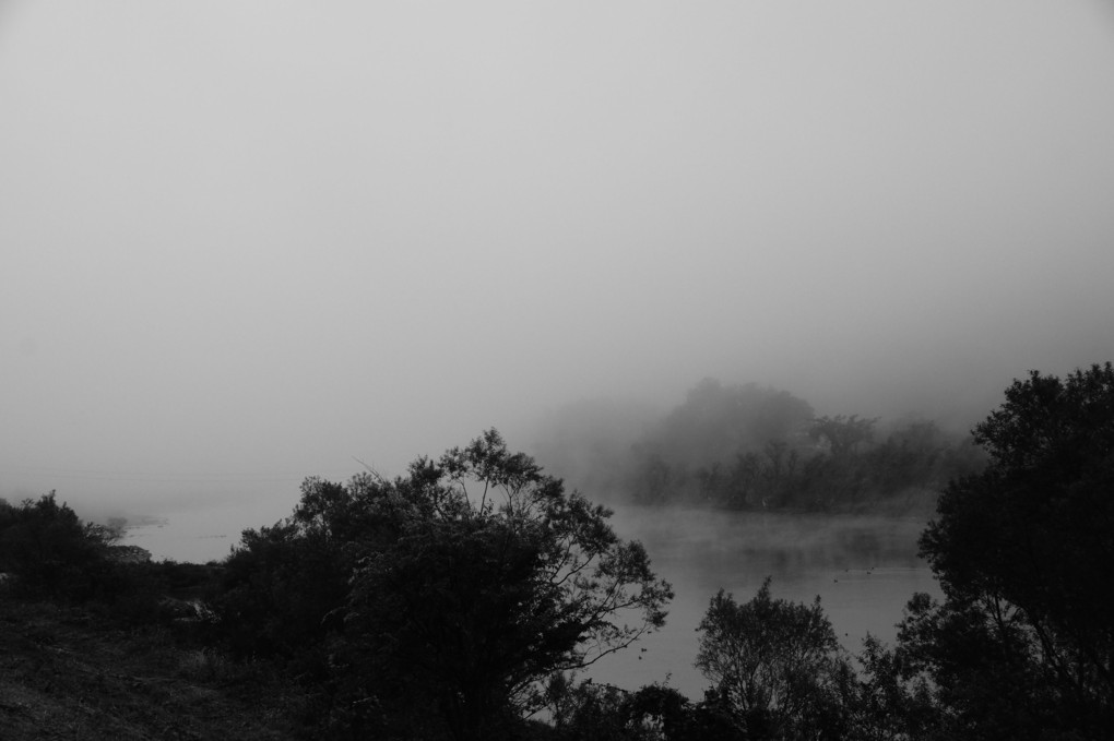 濃霧の朝、川そして鴨