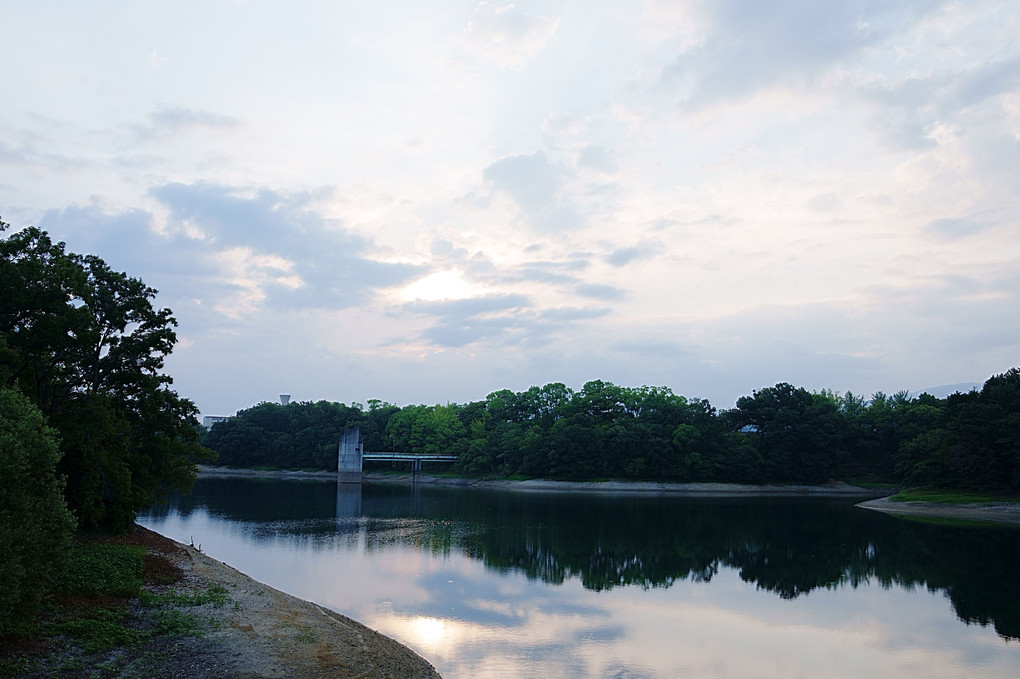 早朝の寺が池