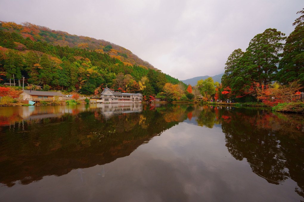 金鱗湖の秋