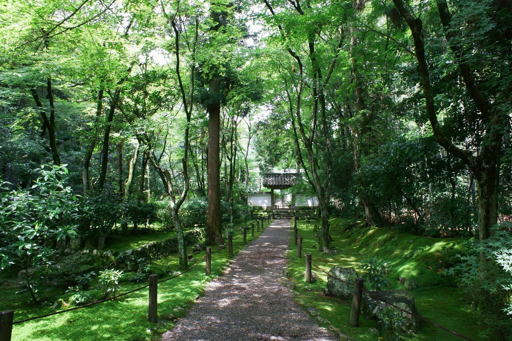 竹の寺